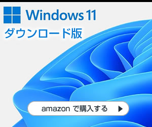 ダウンロード販売用 Windows 11 Home|オンラインコード版