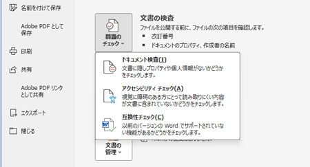 「ドキュメント検査」を選択